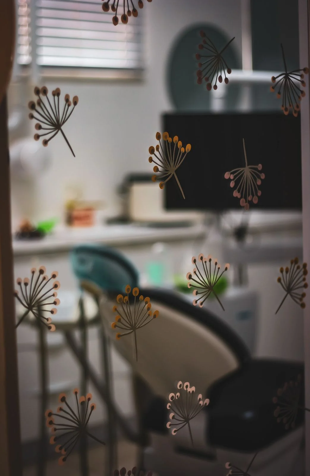 A view into the calm, light-filled OPTIONS dental practice